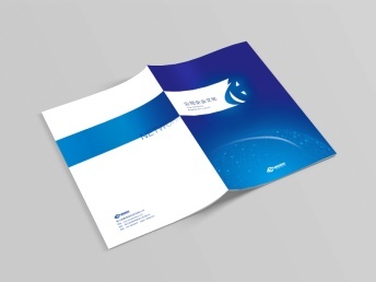 專業(yè)設(shè)計服務(wù) 從網(wǎng)站到圖文的全面解決方案